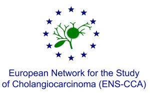 ENS-CCA-consortium